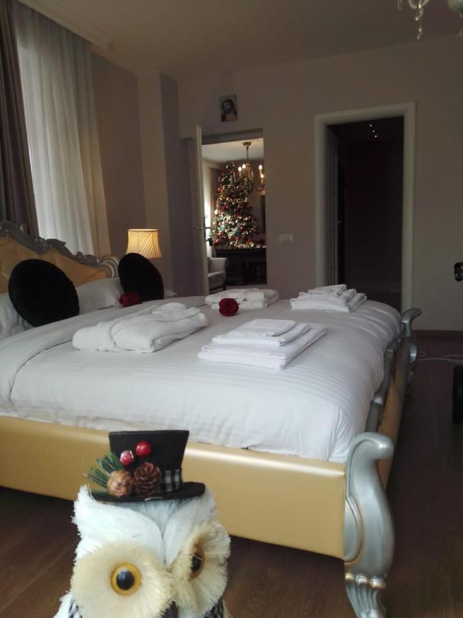 Casa Maria Roses 호텔 Rîşnov 외부 사진