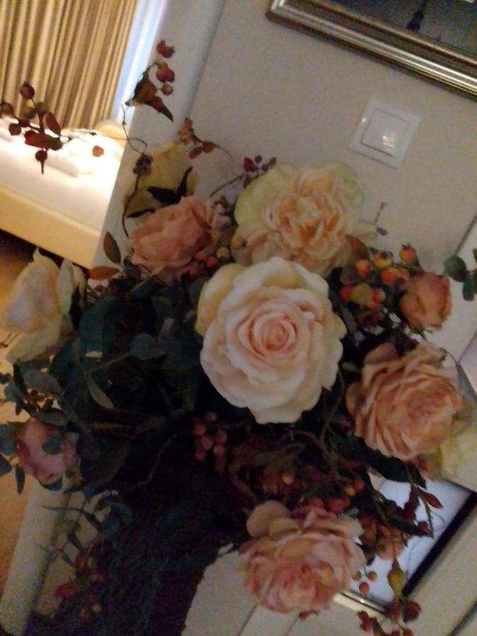Casa Maria Roses 호텔 Rîşnov 외부 사진