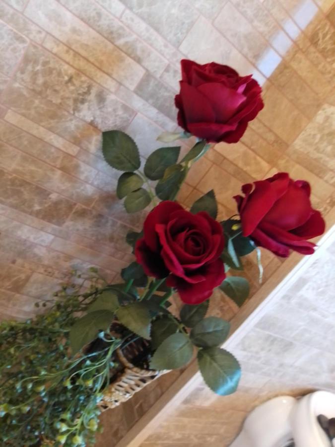 Casa Maria Roses 호텔 Rîşnov 외부 사진