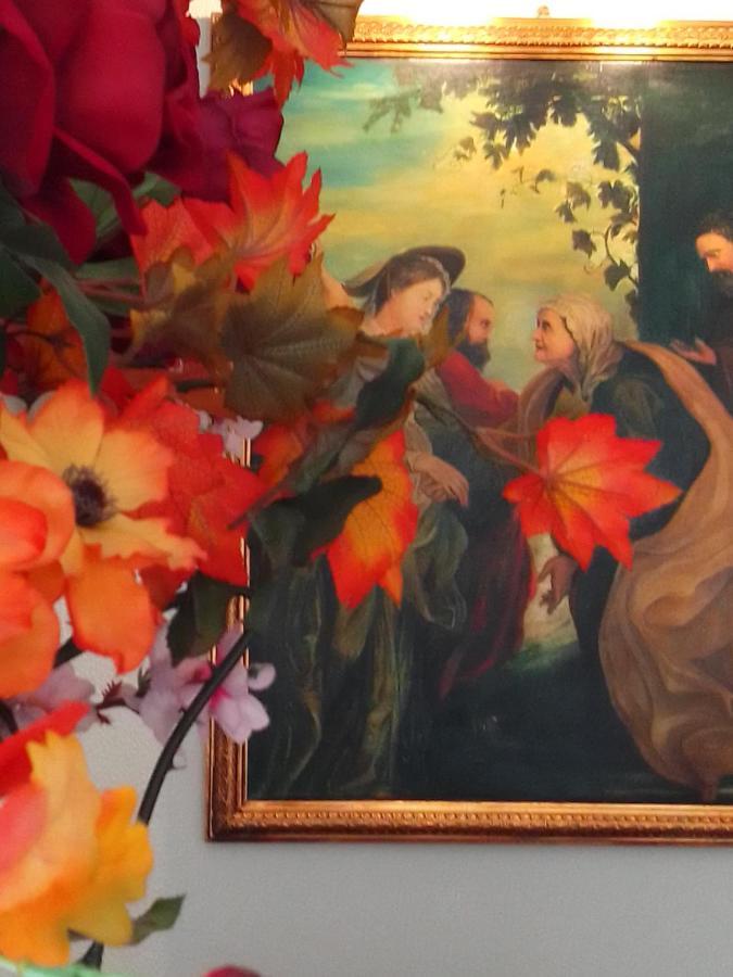 Casa Maria Roses 호텔 Rîşnov 외부 사진