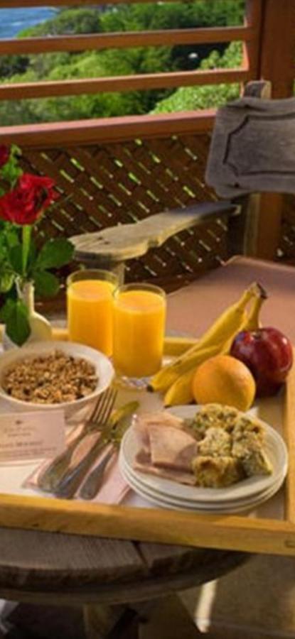 Casa Maria Roses 호텔 Rîşnov 외부 사진