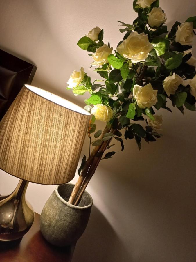 Casa Maria Roses 호텔 Rîşnov 외부 사진