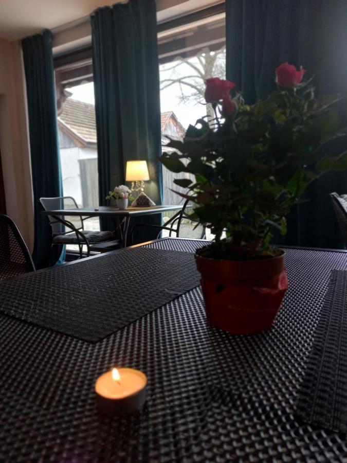 Casa Maria Roses 호텔 Rîşnov 외부 사진