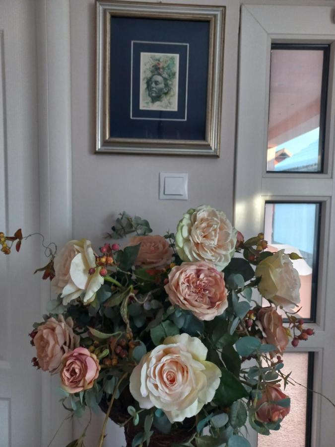 Casa Maria Roses 호텔 Rîşnov 외부 사진